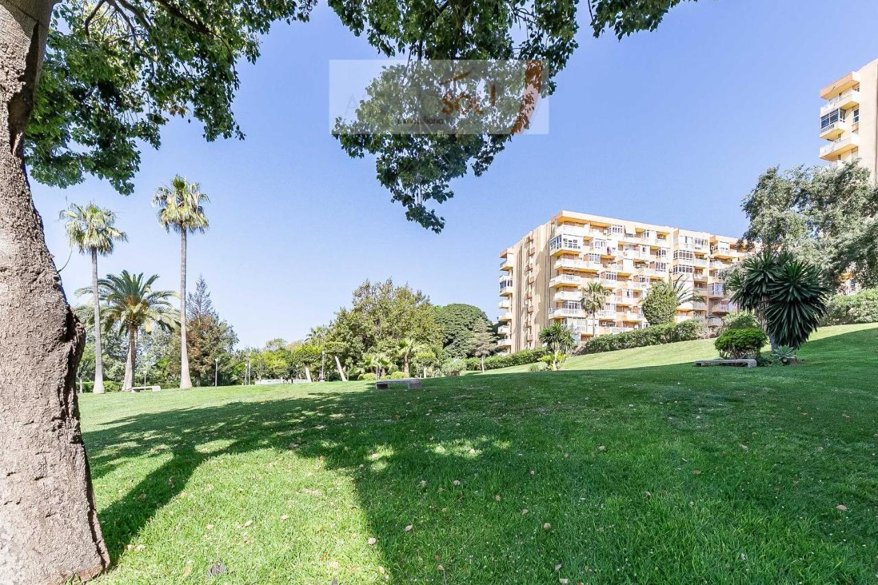 Alpa Minerva Apartment *